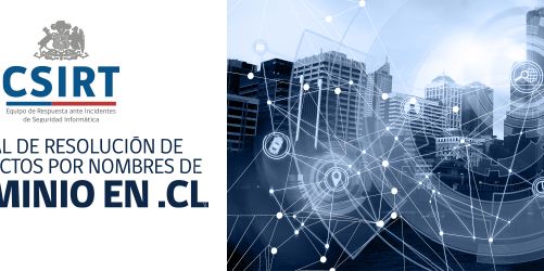 Banner-Manual-Resolucion-dominio.jpg