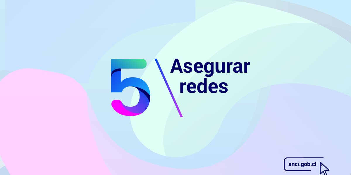 Asegurar redes