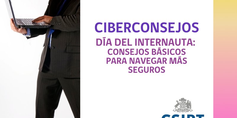 Ciberconsejos 2024 08 Internauta 1