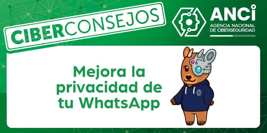 Fotos para web (7)
