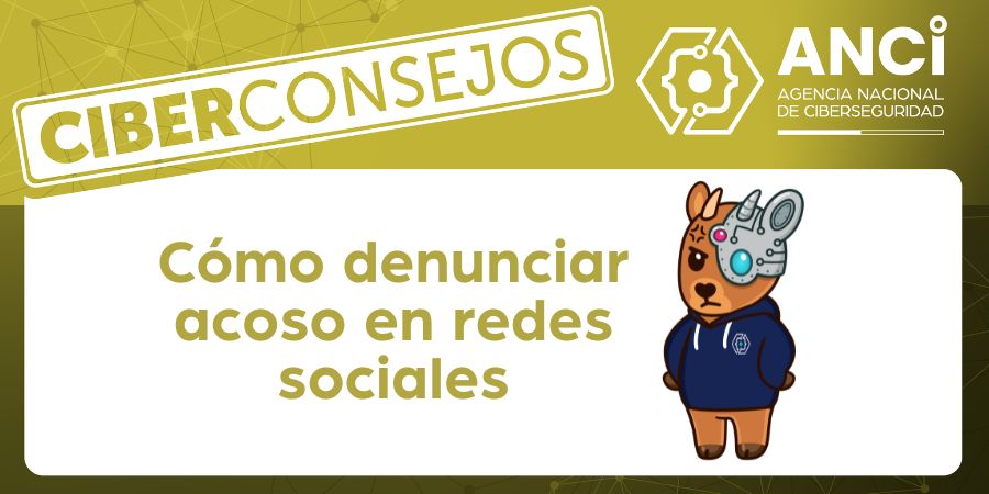 Fotos para web (2)