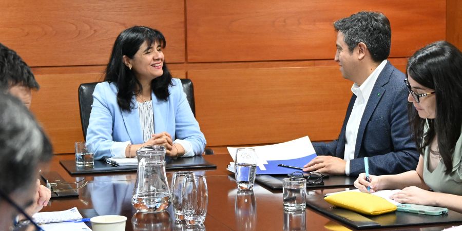Fotos web ANCI (1)